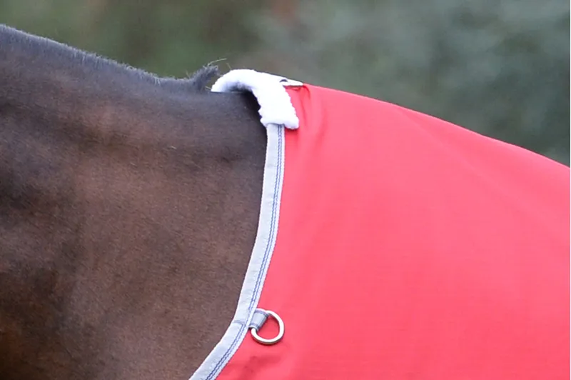 WeatherBeeta ComFiTec Classic Standard Neck Lite Plus 50g Rug - Red/Silver-2