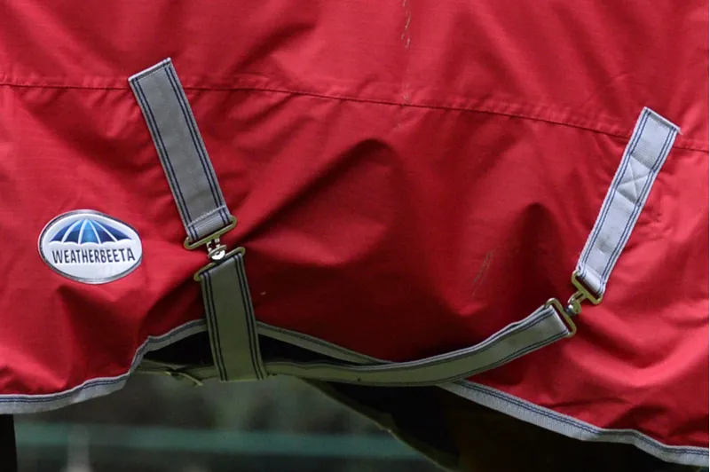 WeatherBeeta ComFiTec Classic Standard Neck Lite Plus 50g Rug - Red/Silver-3