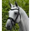 Premier Equine Rivere Snaffle Bridle - Black