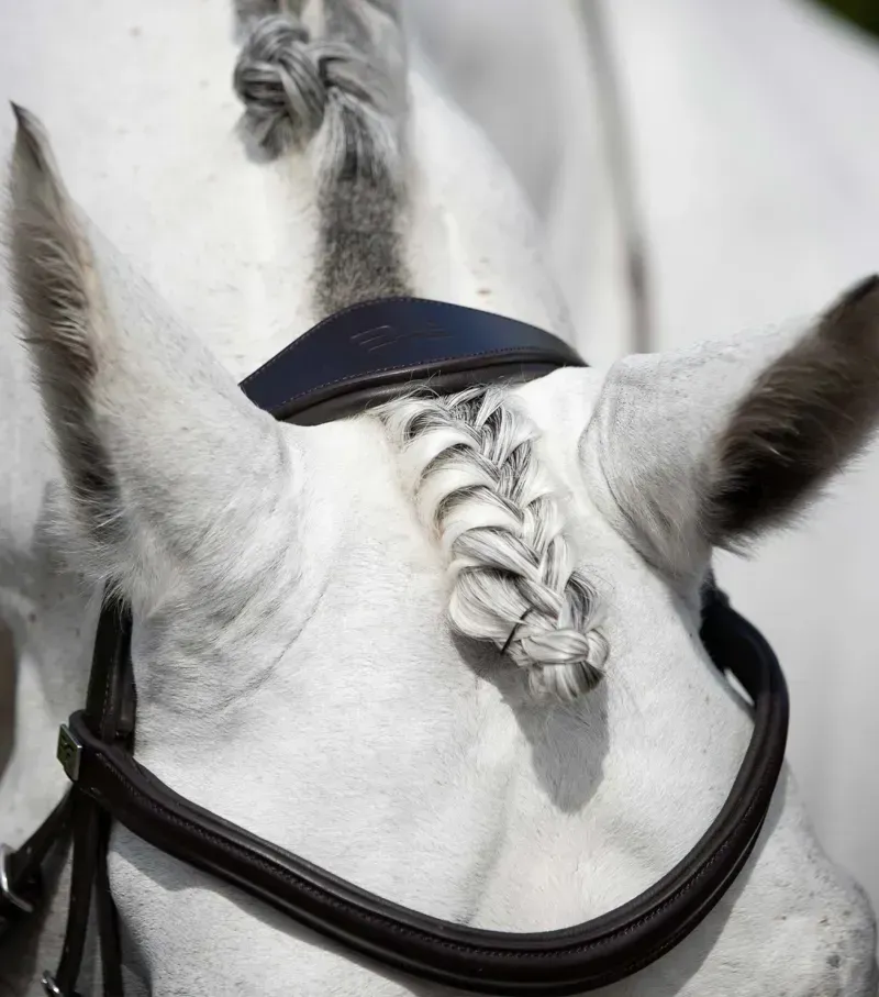 Premier Equine Rivere Snaffle Bridle - Brown-1