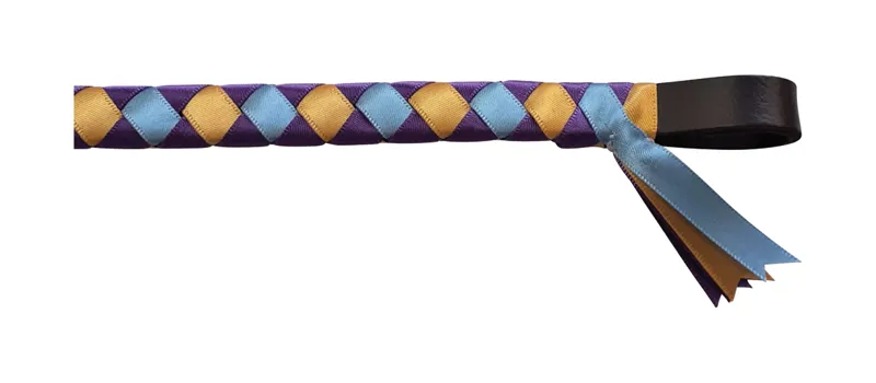 ShowQuest Epson Brow Band - Purple/Blue/Sunshine-2