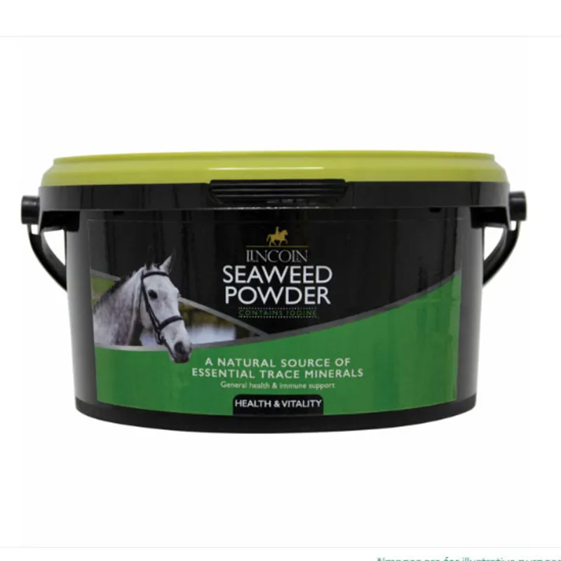 Lincoln Seaweed Powder - 1.5kg