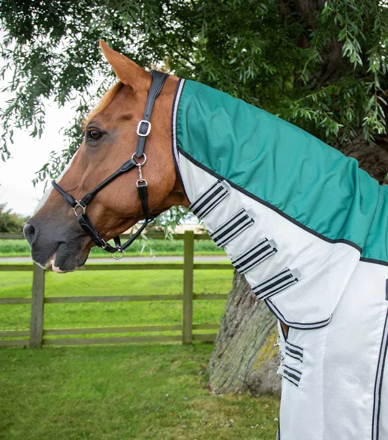 Premier Equine ShowerTex Fly Rug With Surcingles - Green-1