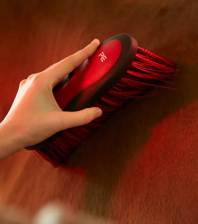 Premier Equine Soft-Touch Dandy Brush Long Bristles - Black Red-2