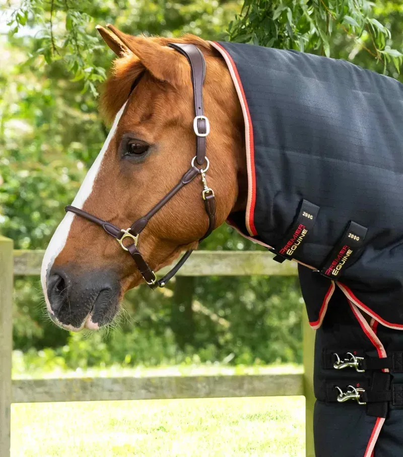 Premier Equine 450g Stable Buster Stable Rug with Neck Cover - Black-1