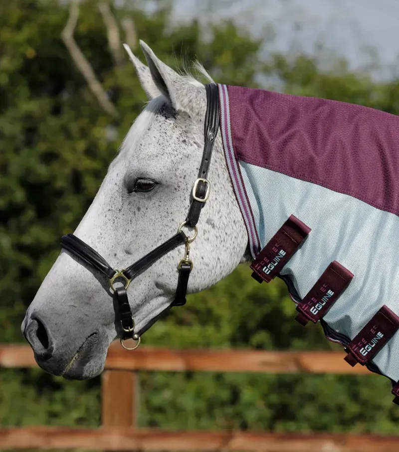 Premier Equine Stay-Dry Mesh Air Fly Rug With Surcingles - Wine-1