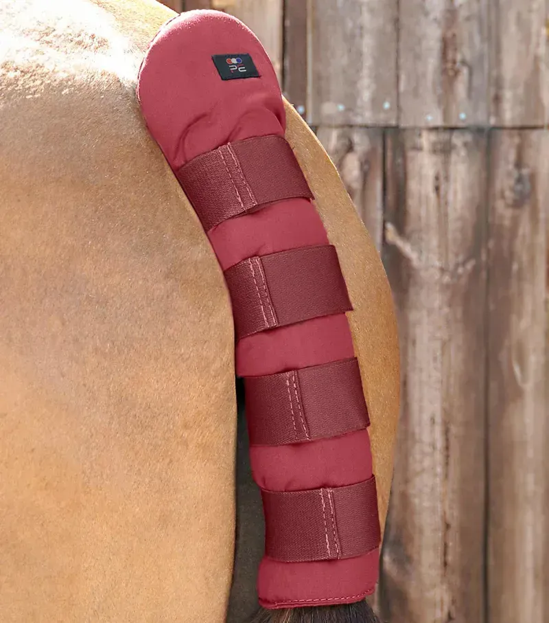 Premier Equine Stay-Up Horse Tail Guard - Burgundy