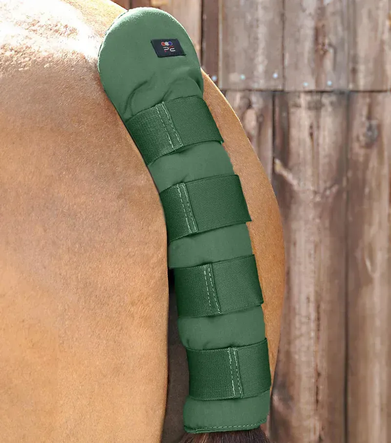Premier Equine Stay-Up Horse Tail Guard - Green