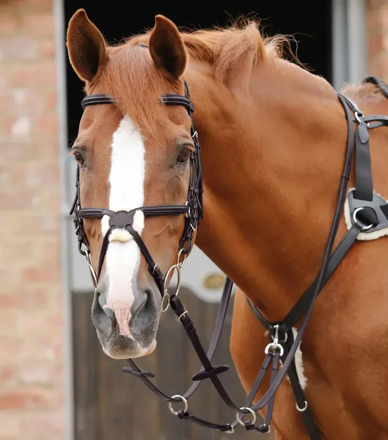 Premier Equine Stellazio Anatomic Snaffle Bridle With Flash - Brown-1