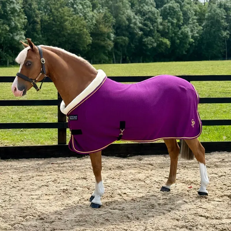Supreme Products Royal Celebration Quilted Show Rug - Purple