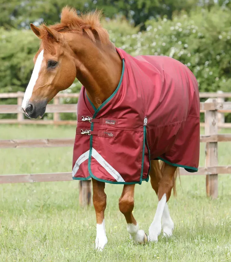 Premier Equine 100g Titan Original Turnout Rug - Burgundy