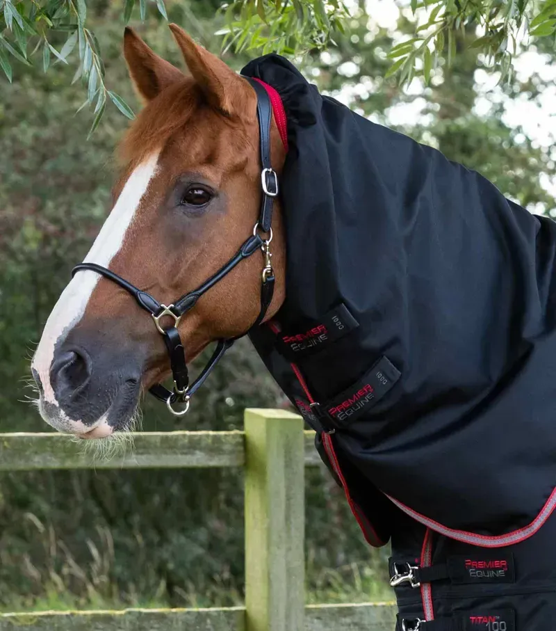 Premier Equine Titan 100g Turnout Rug With Snug-Fit Neck Cover - Black-1