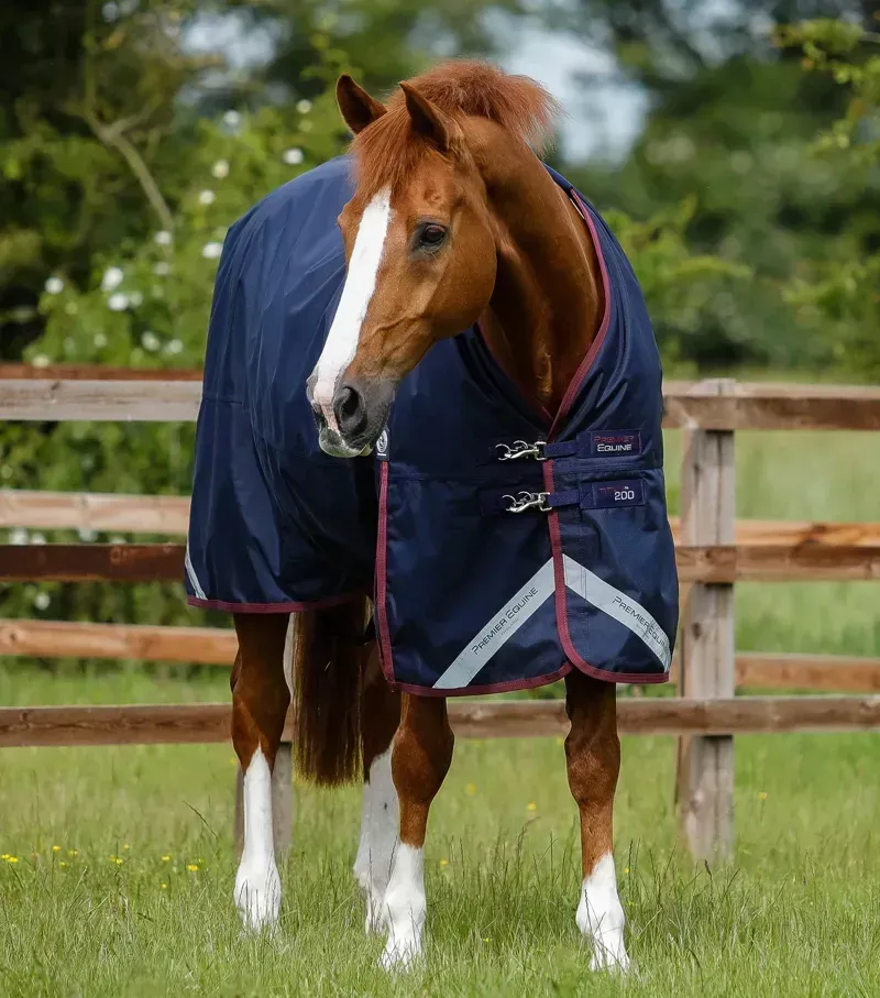 Premier Equine Titan 200g Original Turnout Rug - Navy