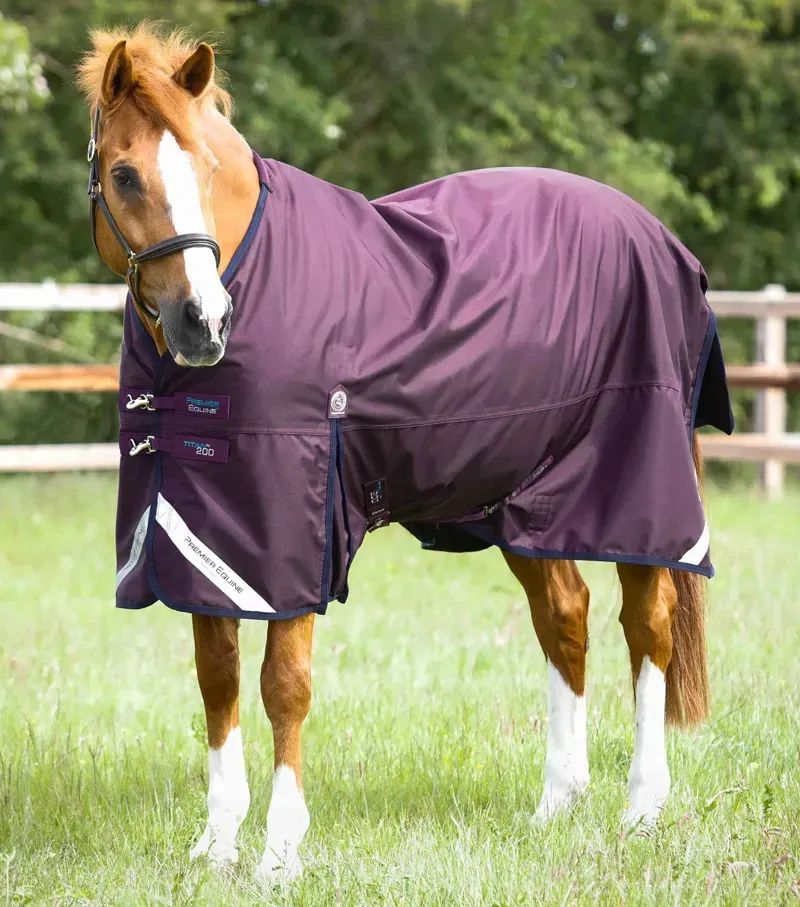 Premier Equine Titan 200g Turnout Rug with Snug-Fit Neck Cover - Purple