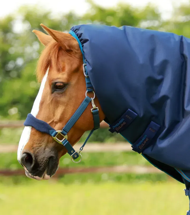 Premier Equine 200g Titan Turnout Rug With Snug-Fit Neck Cover - Navy-1