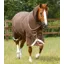 Premier Equine 300g Titan Turnout Rug With Snug-Fit Neck Cover - Brown