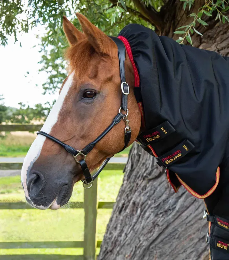 Premier Equine Titan Storm 450g Combo Turnout Rug with Snug-Fit Neck - Black-1