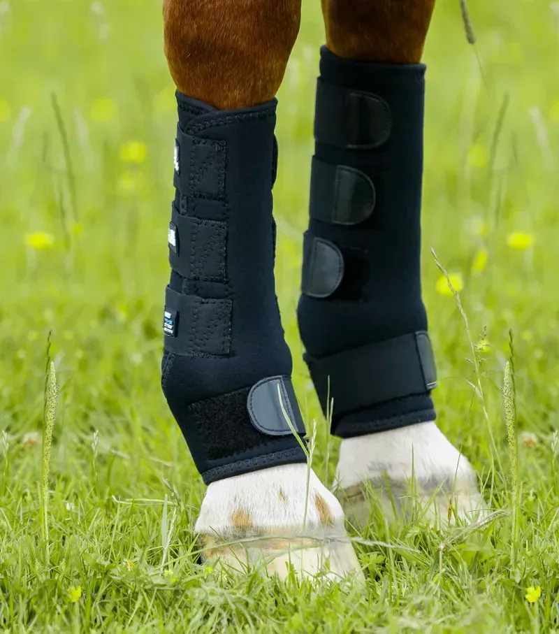 Premier Equine Turnout Boots - Black-3