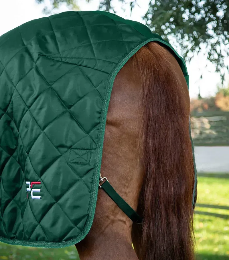 Premier Equine 200g Tuscan Stable Rug - Green-2