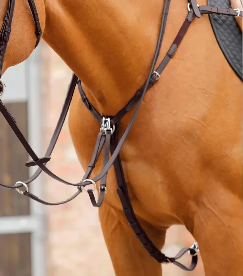Premier Equine Valbrona Performance Breastplate - Brown-3