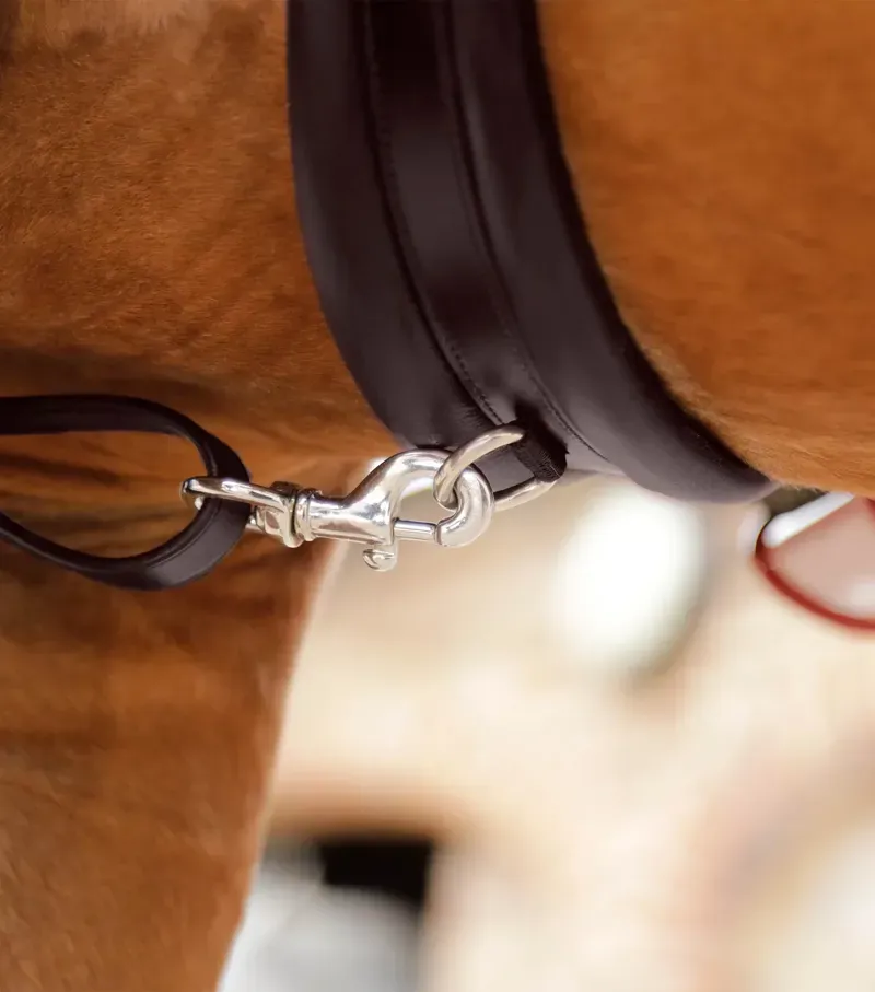 Premier Equine Valbrona Performance Breastplate - Brown-5