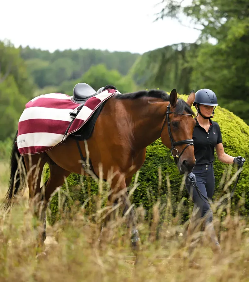 Premier Equine Vellus Horse Fleece Exercise Rug - Burgundy/White-5