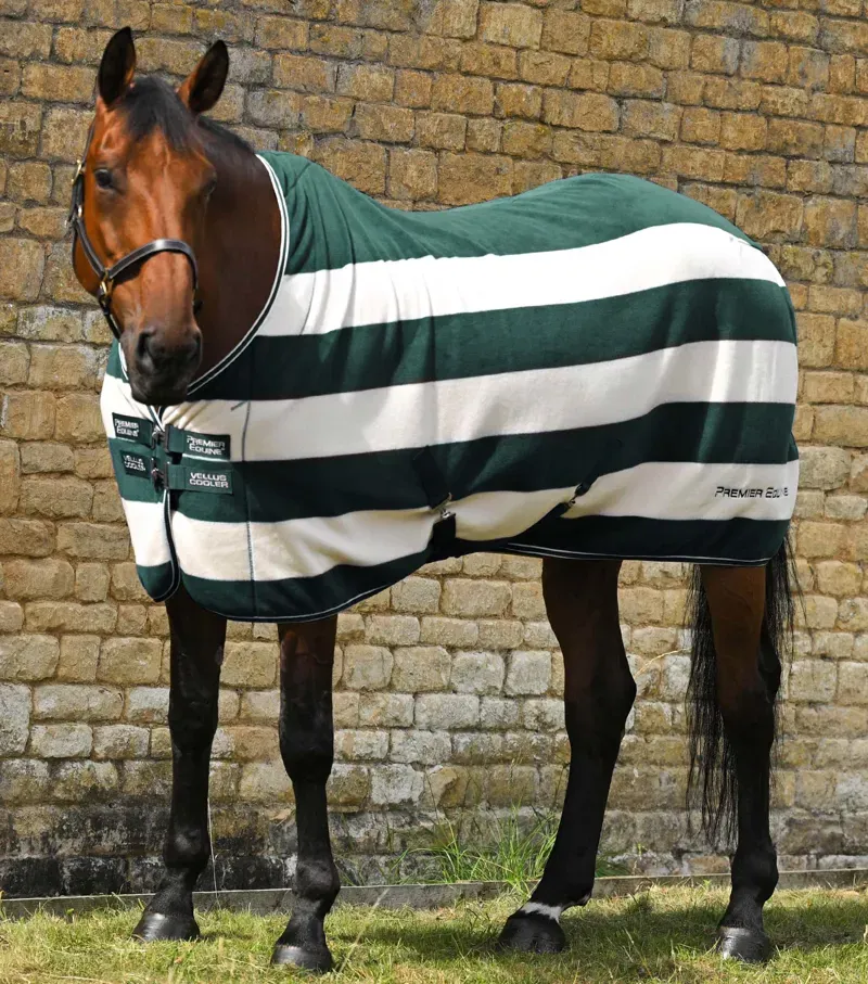 Premier Equine Vellus Horse Fleece Rug - Green/White