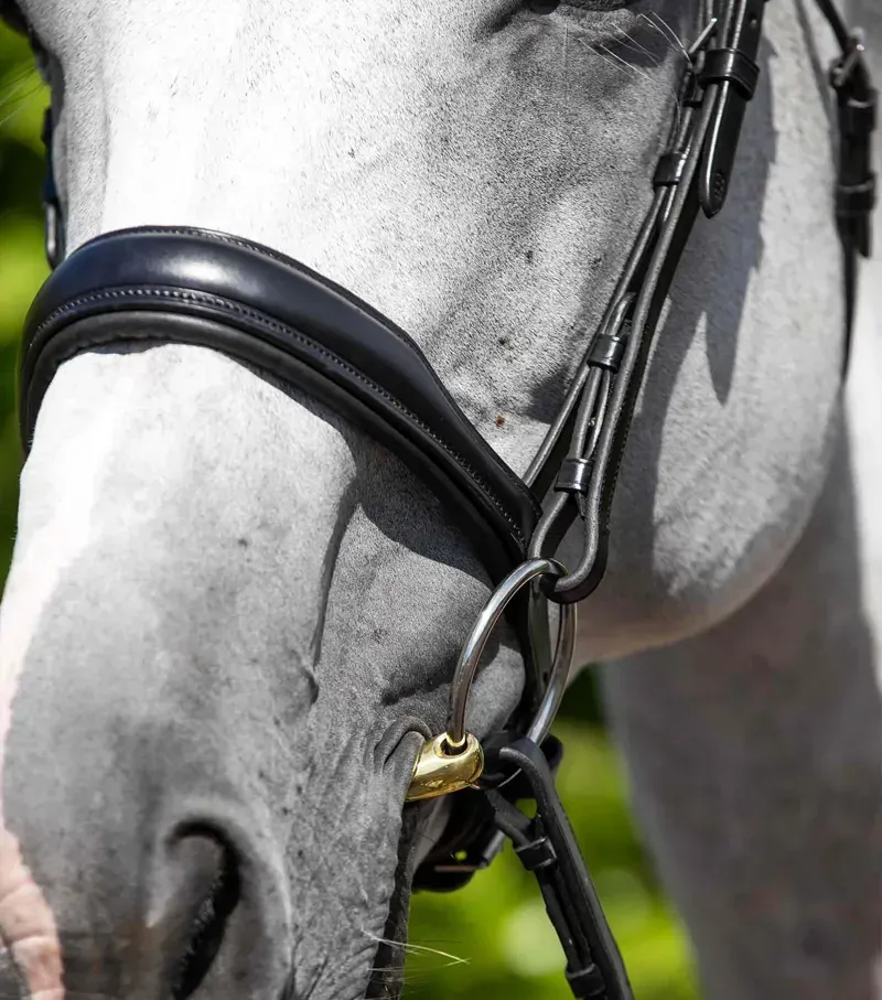 Premier Equine Verdura Anatomic Snaffle Bridle - Black-1