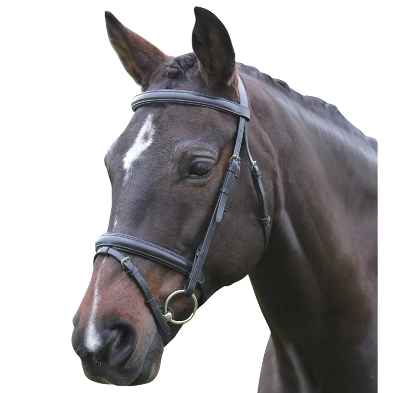 Kincade Flash Bridle II - Black
