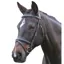 Kincade Flash Bridle II - Black