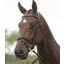 Kincade Flash Bridle II - Brown - Slight Seconds